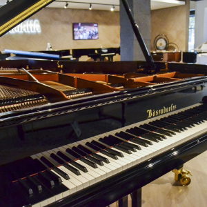 Bösendorfer 290 Imperial Grand Piano Royal Pianos