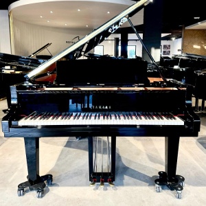 Yamaha C2X