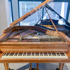 Schimmel Royal Wood C169