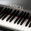 Fazioli F308 Black