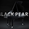 schimmel C 169 black pearl