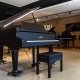 Schimmel C169 Black Pearl