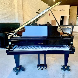 Schimmel C213