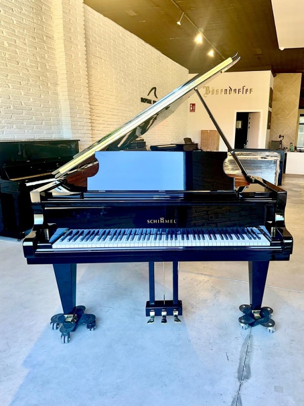 Schimmel C213