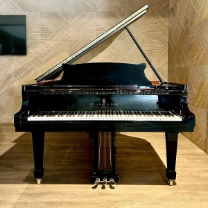 Steinway M170